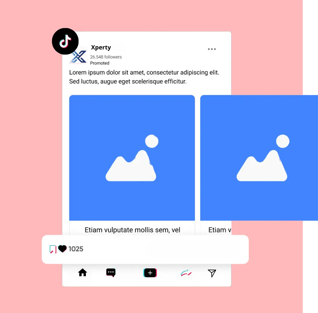 Feed Tiktok